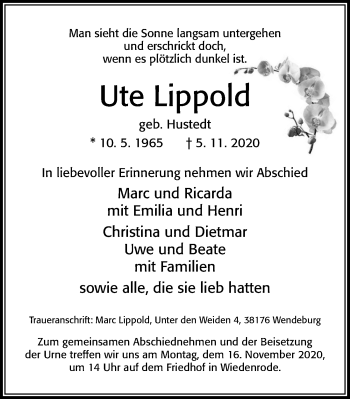 Traueranzeige von Ute Lippold von Cellesche Zeitung