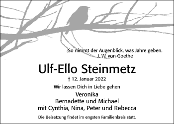Traueranzeige von Ulf-Ello Steinmetz von Cellesche Zeitung