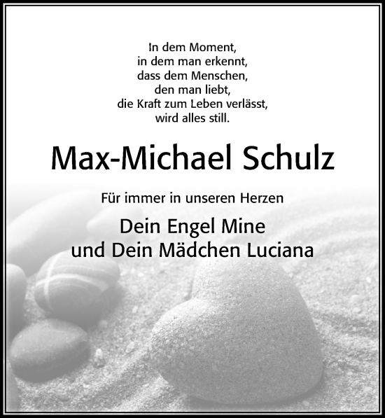 Traueranzeige von Max-Michael Schulz von Cellesche Zeitung