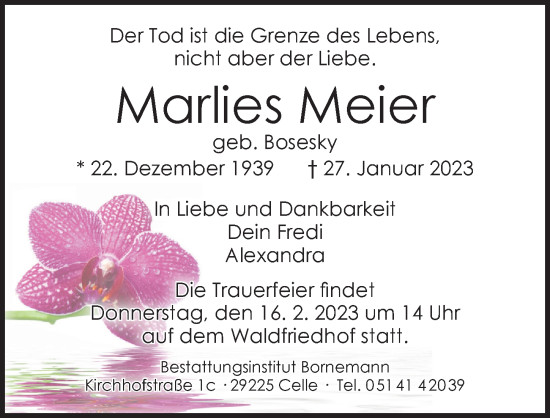 Traueranzeige von Marlies Meier von Cellesche Zeitung