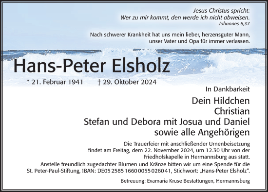 Traueranzeige von Hans-Peter Elsholz von Cellesche Zeitung