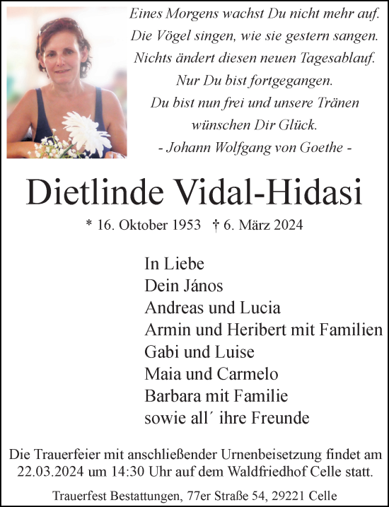 Traueranzeige von Dietlinde Vidal-Hidasi von Cellesche Zeitung