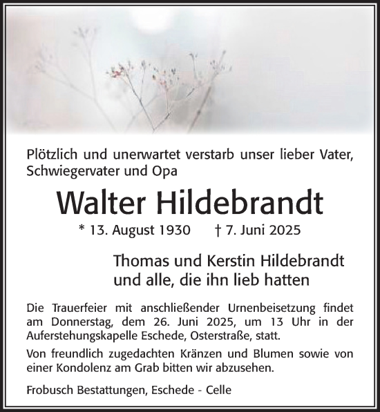 Traueranzeige von Walter Hildebrandt von Cellesche Zeitung